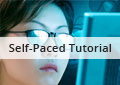 Introduction to SQL (Self-Paced Tutorial)