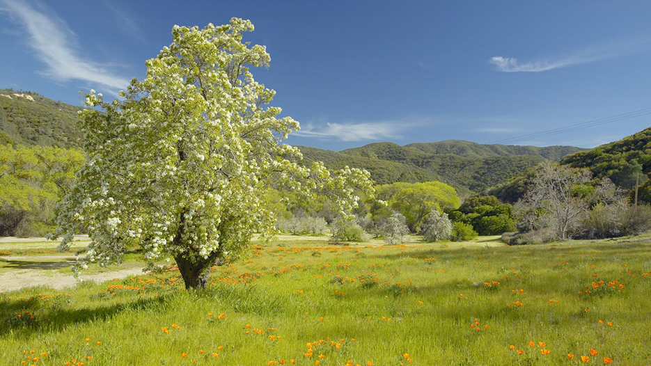 Online Courses in Bakersfield, CA