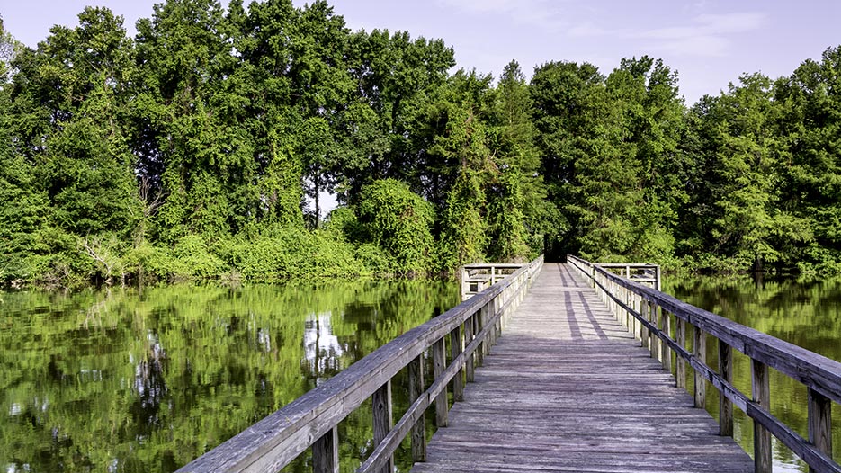 Online Courses in Decatur, AL