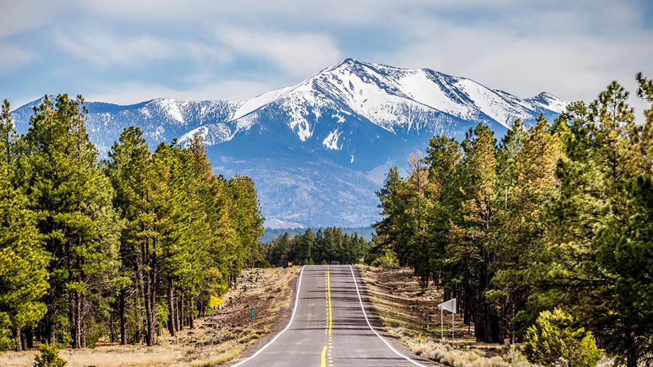 Online Courses in Flagstaff, AZ