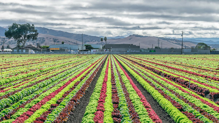 Online Courses in Salinas, CA
