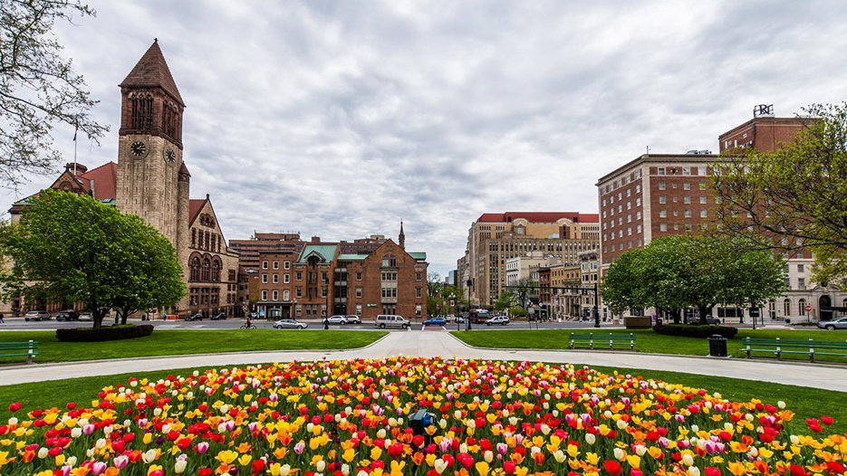 Online Courses in Albany, NY