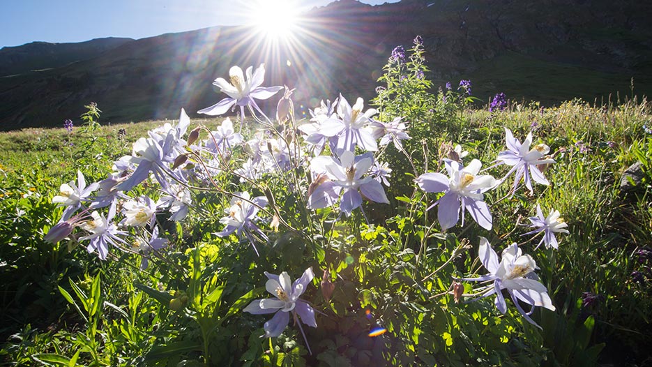 Online Courses in Greeley, CO