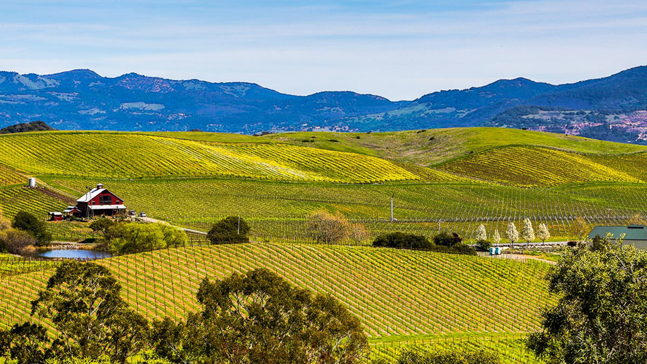 Online Courses in Napa, CA