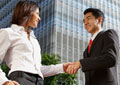 Professional Sales Skills 