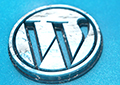 Intermediate WordPress Websites