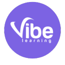 Vibe Learning