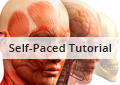 Human Anatomy and Physiology (Self-Guided)