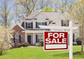 Real Estate Suite