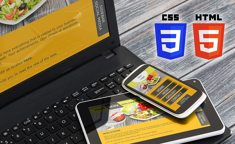 Introduction to CSS3 and HTML5 (Self-Guided)