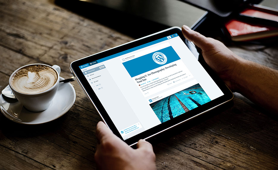Intermediate WordPress Websites (Self-Guided)