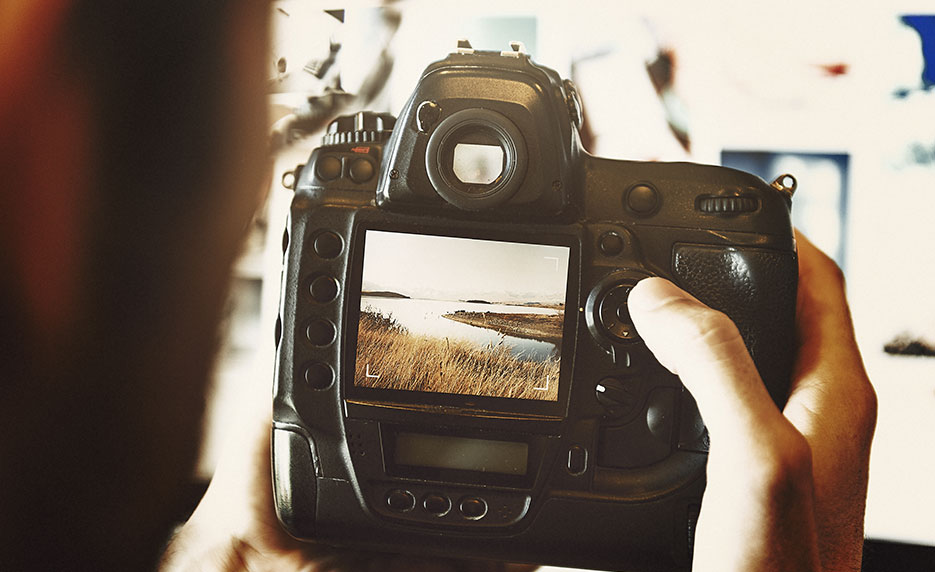 Mastering Your Digital SLR or Mirrorless Camera (Self-Guided)
