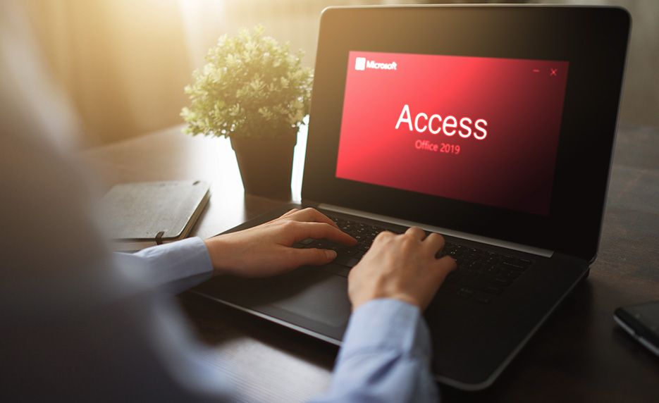 microsoft access 2019 series