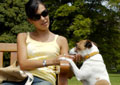 Start a Pet Sitting Business (Self-Guided)