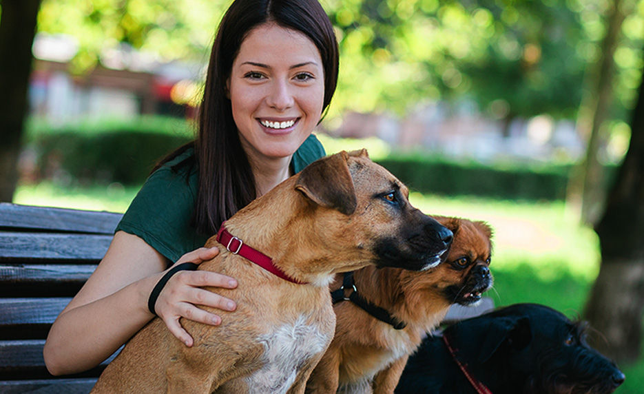 Start a Pet Sitting Business (Self-Guided)
