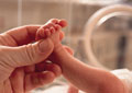 Certificate in Perinatal Issues (Self-Guided)