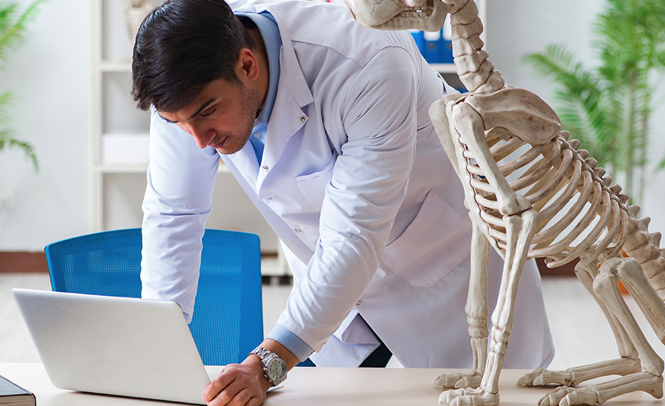 Veterinary Medical Terminology (Self-Guided)