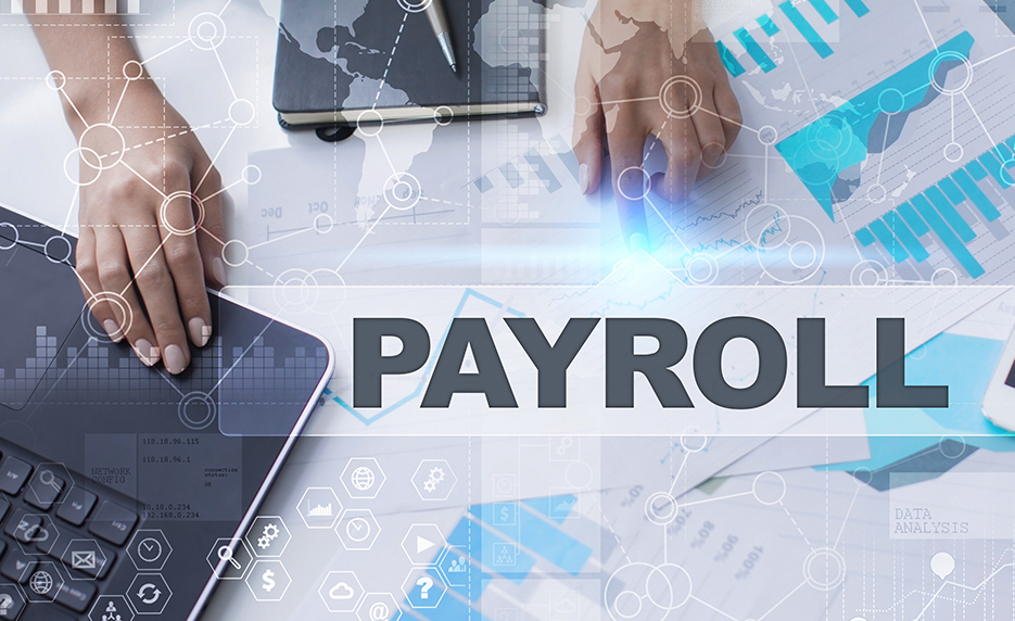 Payroll courses online