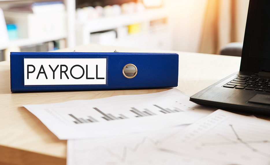 Payroll Practice Management Excel 2019