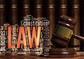 Legal Terminology