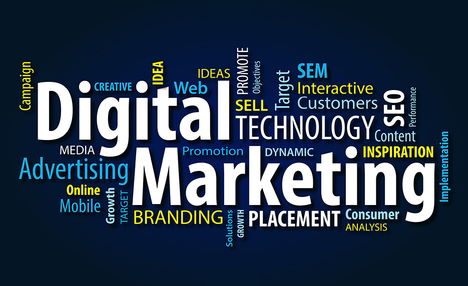 Digital Professional (Voucher Included)