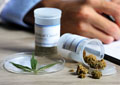 Certificate in Medical Cannabis (Self-Guided)