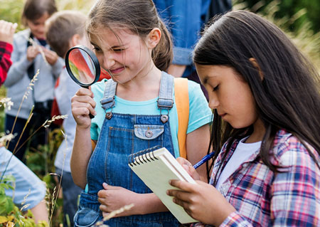 Instructionally-Aligned-Field-Trips