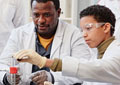 Teaching Effective Problem-Based Lab Reports