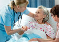 Certificate in Holistic and Integrative Health: Foundations 2 (Self-Guided)