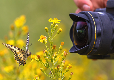 nature-photography-classes