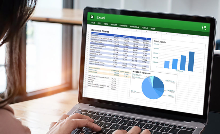 Microsoft Excel 2019 Series